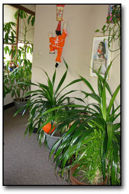Dr. Robert Kelly Scottsdale Arizona Dentist